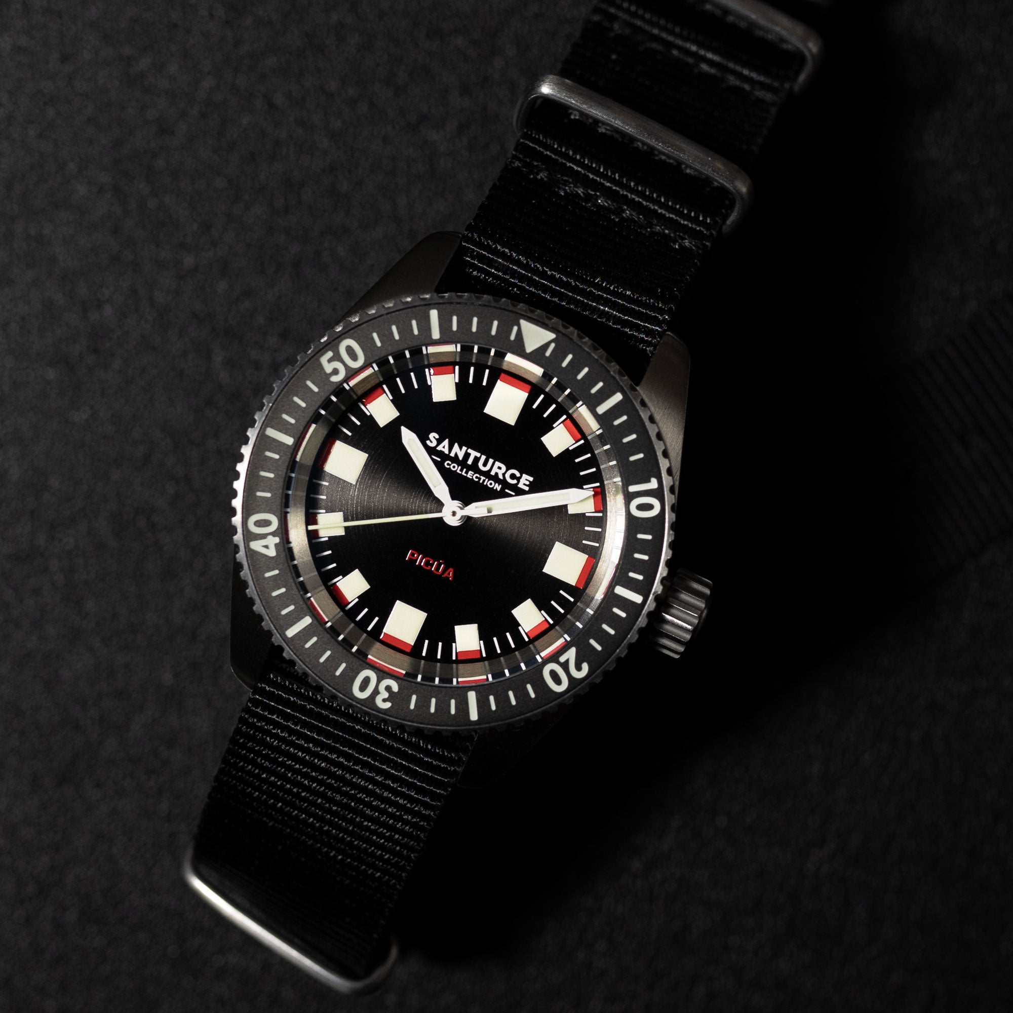 Picúa™ — Swiss Automatic Dive Watch (300m)