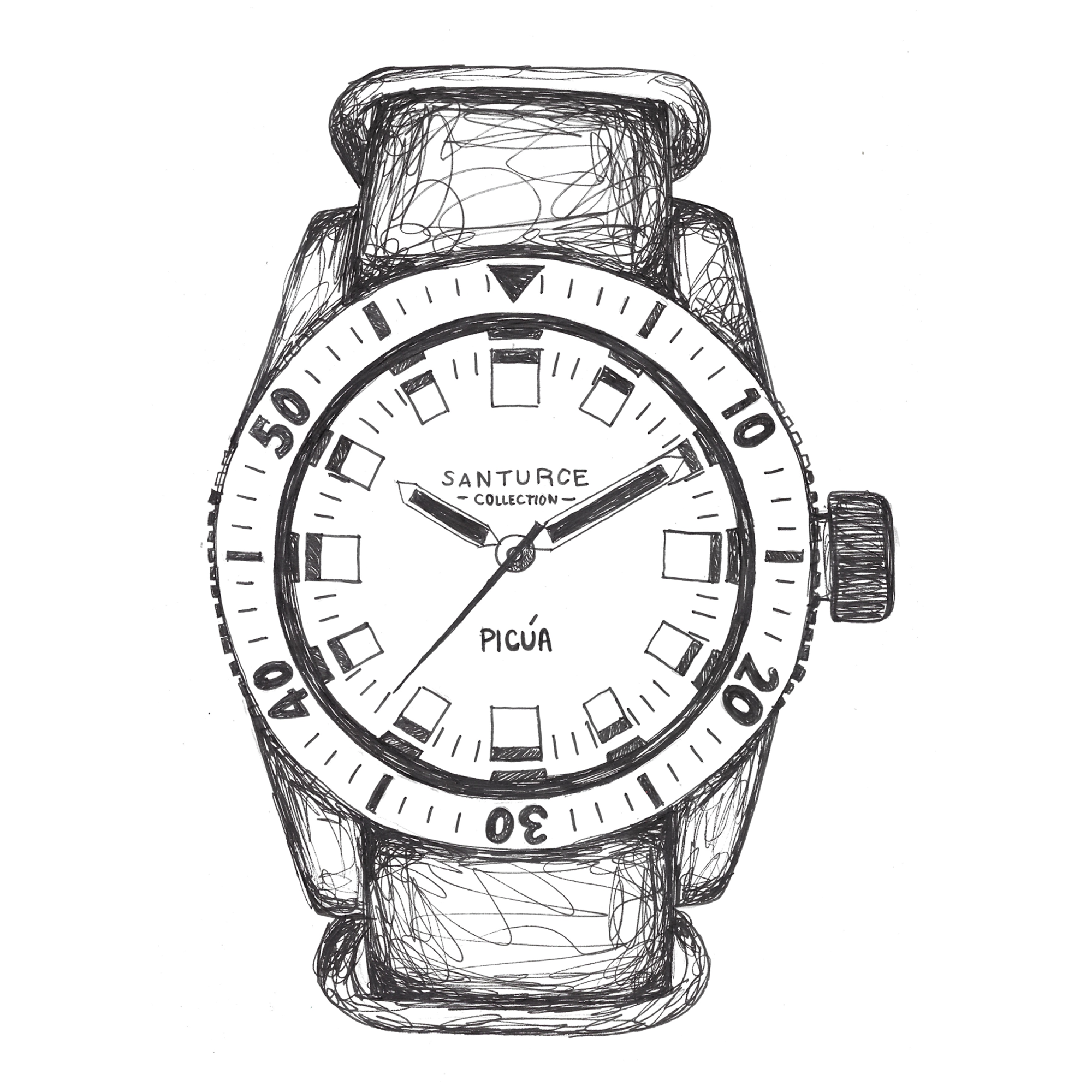 Picúa™ — Swiss Automatic Dive Watch (300m)