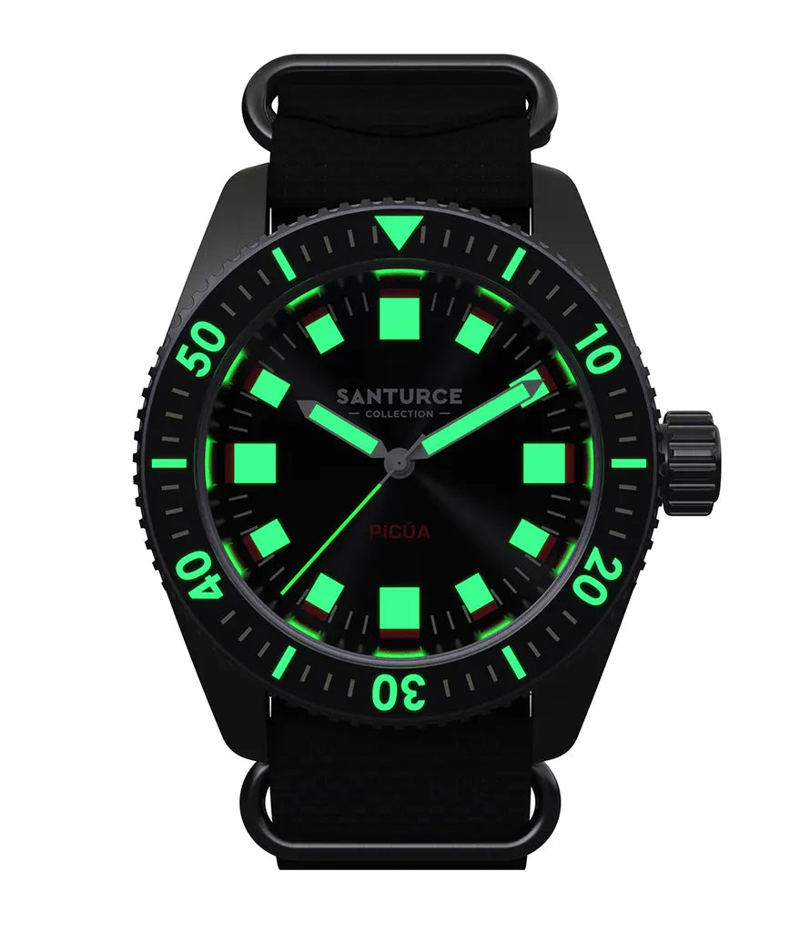 Picúa™ — Swiss Automatic Dive Watch (300m)