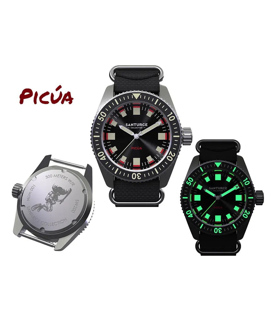 Picúa™ — Swiss Automatic Dive Watch (300m)